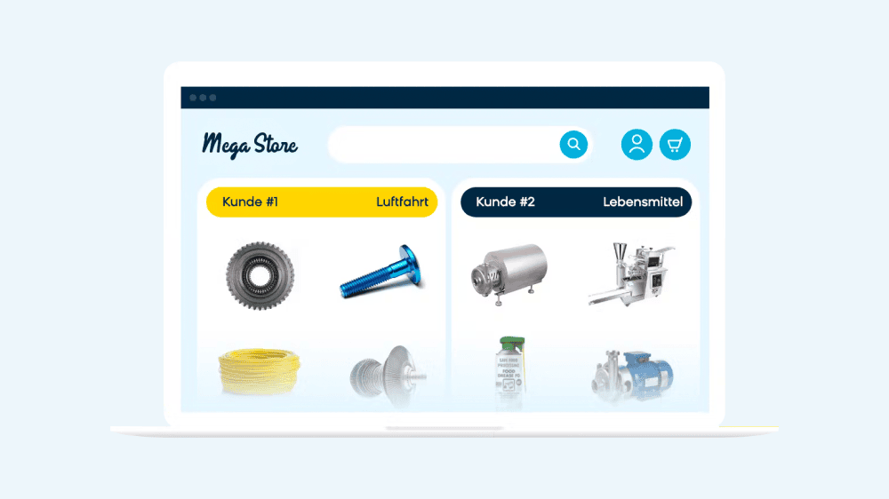 D38_site-experience-industry-personalization-b2b-distributor_de