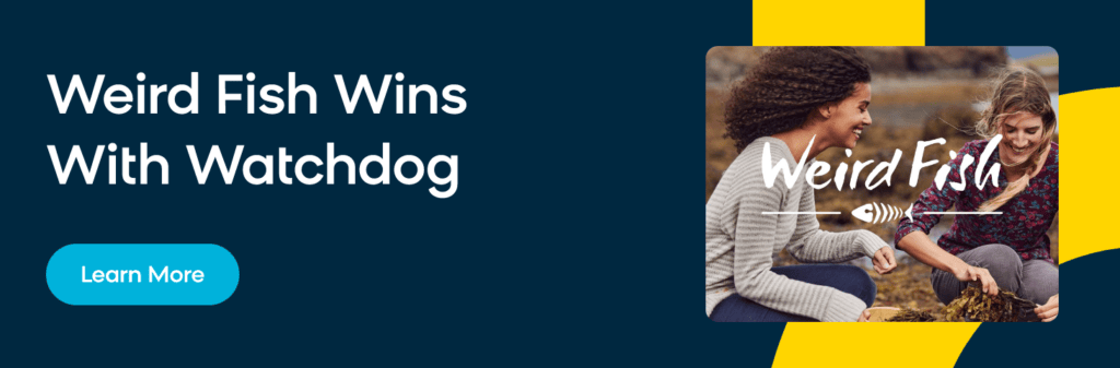Weird Fish Case Study - Bloomreach Engagement Watchdog Campaigns