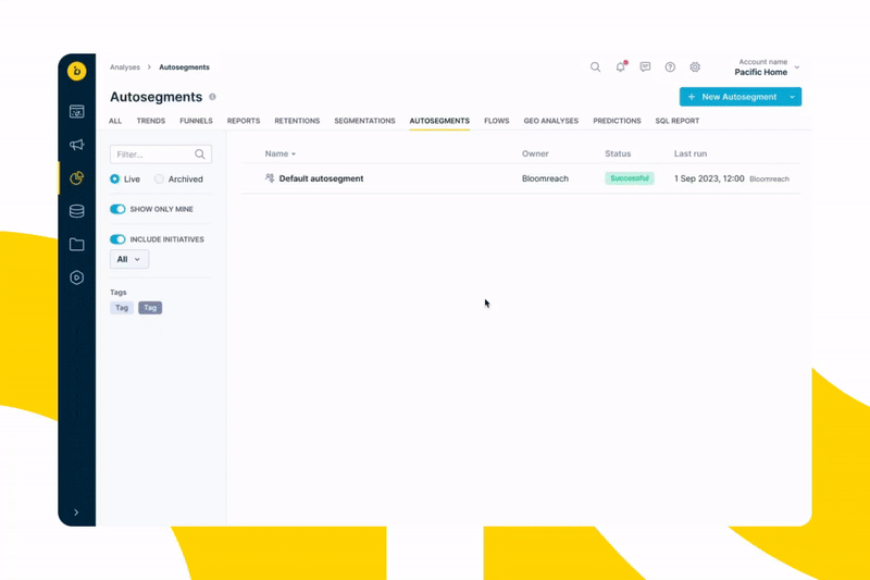 Demo von Loomi AutoSegments in Bloomreach Engagement