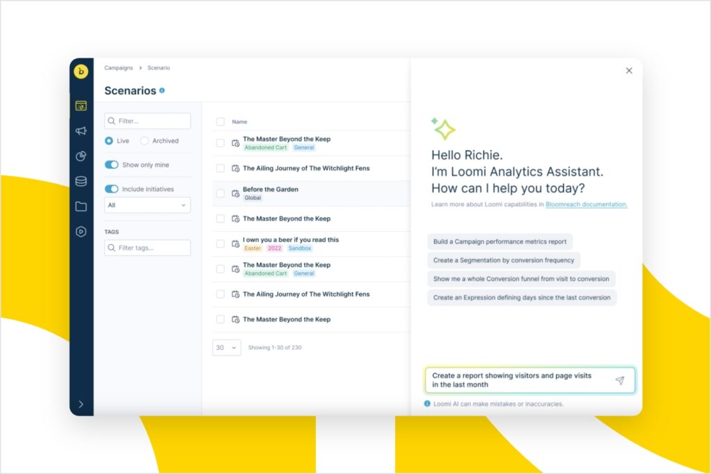 Loomi Analytics Assistant Produktbeispiel für Bloomreach Engagement Kunden