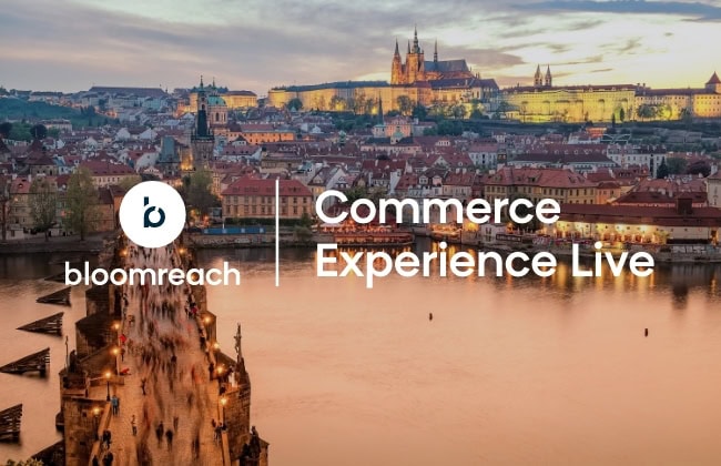 br-cms.bloomreach-3